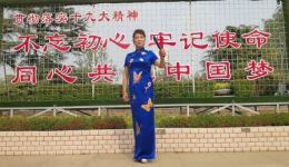 河南坠子《走向辉煌》冯艳丽倾情演唱，激昂奋进曲艺佳作在线下载下载