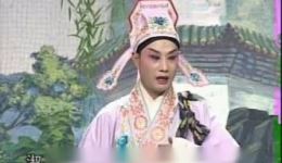 岳飞传