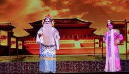 豫剧《打金枝》第四场刘忠河黄爱菊主演绑子上殿精彩戏曲下载下载