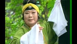 庐剧《以怨报德》宽屏版在线观看下载 - 经典戏曲资源网站 庐剧《以怨报德》宽屏版在线观看下载 - 经典戏曲资源网站