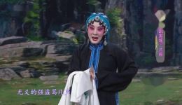 京剧《武家坡》片段在线观看，李博查思娜精彩演绎，经典戏曲下载下载
