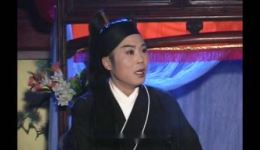 犟地保