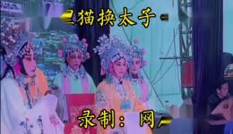 楚剧《狸猫换太子》剪辑三在线观看,经典宫廷大戏高清资源下载 楚剧《狸猫换太子》剪辑三在线观看,经典宫廷大戏高清资源下载
