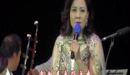 河北梆子《牺牲》选段彭蕙蘅倾情演绎，小岸英撕肝裂肺唱段，经典戏曲在线下载