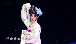 秦腔《嫦娥奔月》选段下载，齐爱云经典演唱，领略传统戏曲魅力下载
