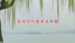 豆腐郎一输妻