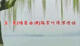豆腐郎一情暖
