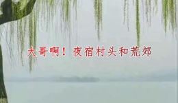 豆腐郎一庙遇