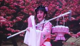 越剧《红楼梦·葬花》肖菊花演唱 经典唱段 凄美婉转 在线下载下载