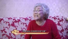 晋剧经典丁果仙《百家戏苑》黑胶唱片珍藏,品大师唱腔艺术魅力 晋剧经典丁果仙《百家戏苑》黑胶唱片珍藏,品大师唱腔艺术魅力