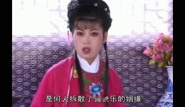 皖西庐剧小调《放鹦哥》宽屏版下载 - 经典庐剧传统剧目资源 皖西庐剧小调《放鹦哥》宽屏版下载 - 经典庐剧传统剧目资源