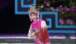 蒲剧《表花》程雅琨卫潇精彩演绎，经典戏曲在线下载下载