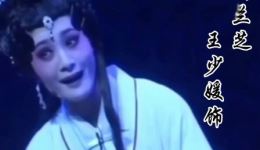 莆仙戏经典《玉芙蓉》在线下载，柳峰演绎焦刘爱情悲剧，感受传统戏曲魅力
