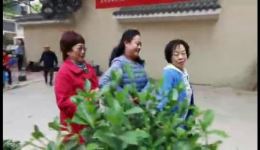 原创方言小品《天上不会掉馅饼》贵州老年大学倾情演绎，解锁反网络诈骗新视角下载