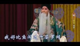 京剧《二进宫》常东王昊言派专场片段下载 - 经典戏曲资源下载