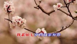 淮剧经典《舍妻》老唱片在线下载，张云良华美琴原声演唱，传统戏曲资源