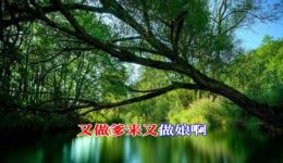 淮剧经典《舍妻》老唱片下载，张云良华美琴原声演唱，传统戏曲资源
