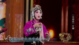 黄梅戏《小辞店》片段资源下载，吴琼盖学泉精彩演绎