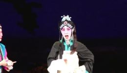 京剧《野猪林》第五场林冲遇险野猪林,鲁智深侠义救英雄精彩呈现 京剧《野猪林》第五场林冲遇险野猪林,鲁智深侠义救英雄精彩呈现