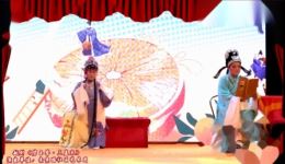 碧玉簮 三盖衣
