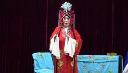 评剧《珍珠衫》船头选段下载 - 刘文云文瑞精彩演绎下载
