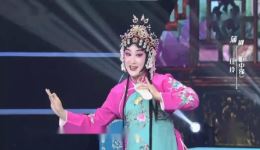 蒲剧《柜中缘》经典片段在线观看，任玲精彩演绎许翠莲下载
