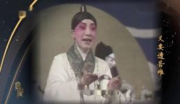 京剧经典剧目《谢瑶环》杜近芳演唱，传统戏曲艺术佳作在线下载下载