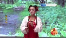 芗剧《杀鸡记》第3集在线观看 传统戏曲精彩剧情不容错过