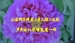山东梆子《李三娘》选段伴奏下载，经典戏曲资源免费获取