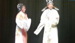 越剧《情探，伴读》袁亚飞董仙女主演，经典戏曲在线下载，感受传统越韵魅力下载