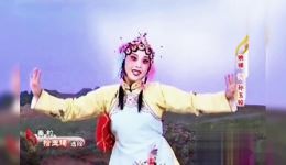 秦腔《拾玉镯》选段姚娣演唱，经典戏曲在线下载，传统秦腔艺术精彩呈现
