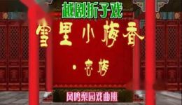 越剧《雪里小梅香，恋梅》姚建萍李凤麟演唱，主仆情深经典唱段在线下载下载