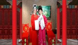 杜秋娘·敬崔兄