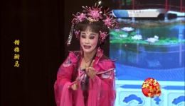 错招驸马