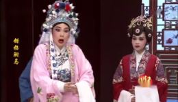错招驸马