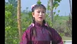 庐剧《嫁小叔不怕死》宽屏版全集下载,经典爱情戏曲在线获取 庐剧《嫁小叔不怕死》宽屏版全集下载,经典爱情戏曲在线获取