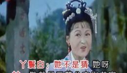龙女