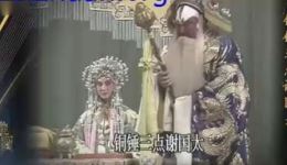 京剧《大保国》吴钰璋演唱，经典宫廷权谋戏曲在线下载