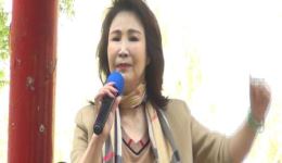 河北梆子《洪湖赤卫队》选段在线下载，许荷英经典演唱