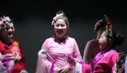 黄梅戏《天仙配》甸上文艺队表演下载 - 经典戏曲全场资源下载