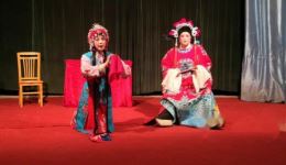 秦腔经典《花亭相会》张金霞陈宣羽精彩演绎，纯正唱腔诠释动人情感下载