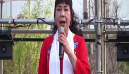 武安平调《红嫂》选段《熬鸡汤》在线下载｜张红刘艳琴刘俊丽经典演绎