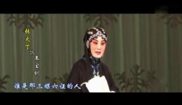 京剧经典折子戏《武家坡》王珮瑜张火丁精彩演绎，高清唱词字幕在线下载下载