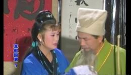 人间真爱姐弟情