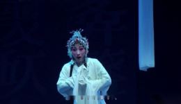 黄卷与蚊诗