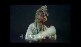 婺剧《牡丹对课》郑兰香苗嫩精彩演绎，传统戏曲经典剧情在线下载