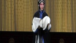 京剧《武家坡》闫文倩万琳精彩演出，经典传统剧目在线下载，感受戏曲魅力下载