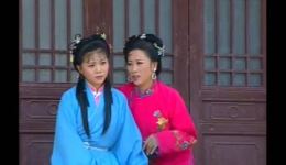 新发庐剧《害人反害自己》宽屏版高清资源，经典善恶因果题材戏曲在线观看下载