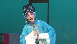 晋剧《百家戏苑》田桂兰经典音配像全收录，多部剧目高清呈现