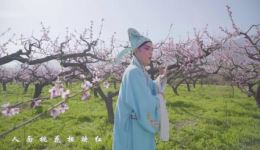 戏歌《人面桃花》任三民靳琴演唱，经典戏歌在线下载，领略传统戏韵与深情演绎的交融之美